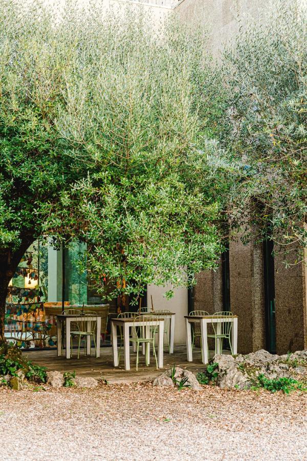 Cooking And Nature - Emotional Hotel อัลวาโดส ภายนอก รูปภาพ